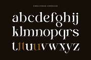 Ginka Voraxe – Modern Stylish Serif, a Serif Font by Mahesans Co (Thumbnail 9 of 11)
