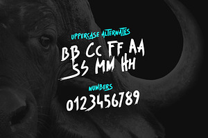 Beast - Brush Font