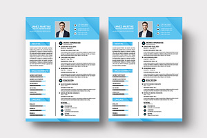 One Page Clean Resume / Cv V60