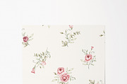 Watercolor Blush Roses Floral Set, a Decorative Illustration by Carol Lozove (Thumbnail 29 of 50)