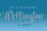 Serenus Condensed, a Script Font by Eurotypo (Thumbnail 2 of 5)