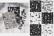 Mushrooms. collection, a Decorative Illustration by Merfin (Thumbnail 4 of 6)