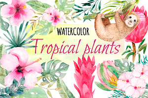 Watercolor Set Tropical Plants