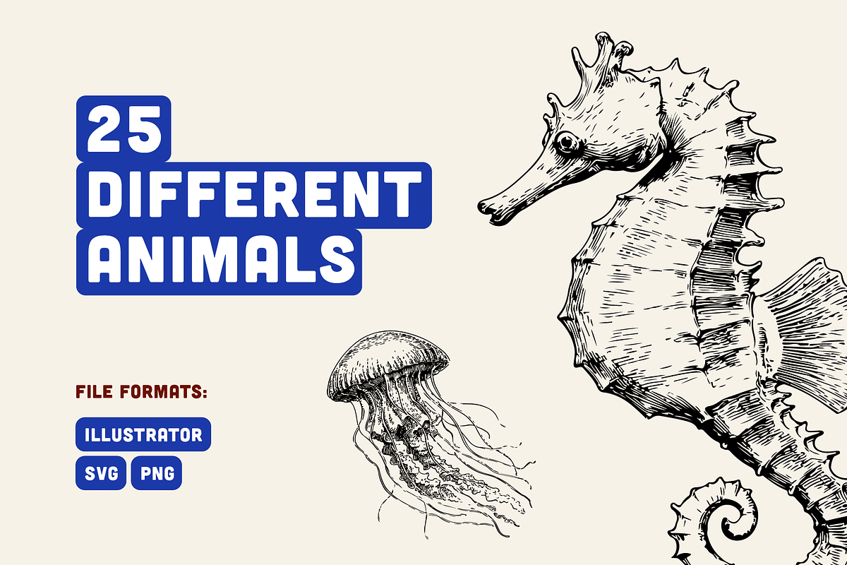 25 Marine Animal Illustrations, an Animal Illustration by Vectorian (Photo 2 of 5)