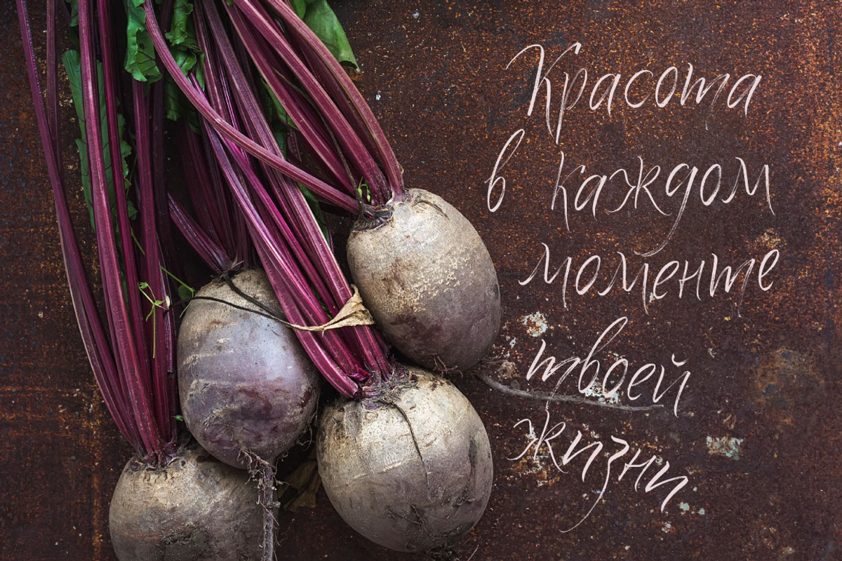 Quick Snack Script Latin & Cyrillic, a Script Font by Vera Holera (Photo 3 of 4)
