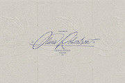 True Signature - Handwriting Script, a Script Font by AndrewPixelType (Thumbnail 2 of 14)