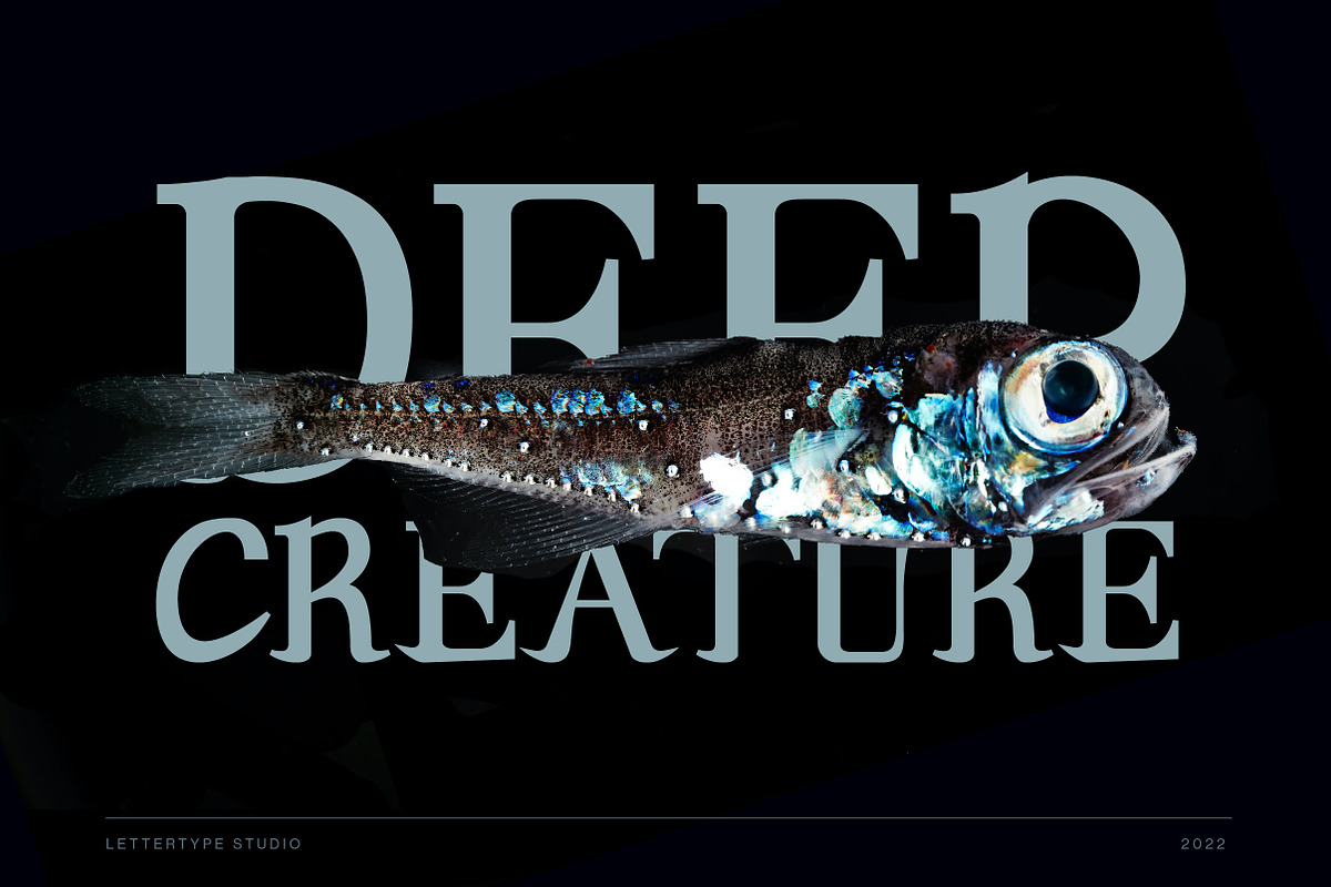 Andaman an Experimental Serif Font, a Serif Font by Lettertype Studio (Photo 7 of 15)