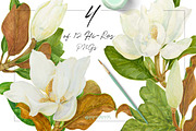 Southern MAGNOLIA-Vintage Clipart, an Illustration by watercolorwild.graphics (Thumbnail 3 of 7)
