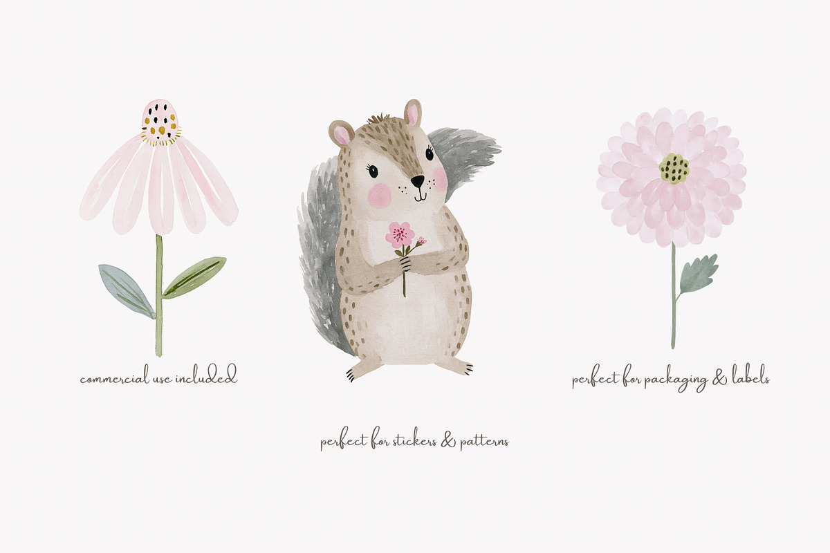 woodland animal clipart set, a Decorative Illustration by Patishop Art (Photo 3 of 7)