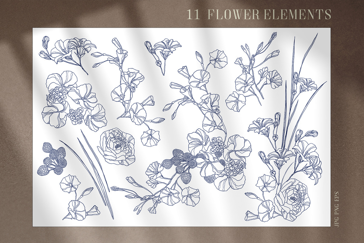 Skull and flowers poster set, a Texture Illustration by LanaDzi (Photo 9 of 10)