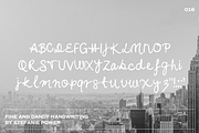 Handwriting Bundle - OVER 40% OFF, a Script Font by Stefanie Madison (Thumbnail 16 of 21)