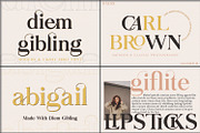 SALE! Mega Bundle 15+ Branding Fonts, a Serif Font by MchCrafter (Thumbnail 6 of 18)