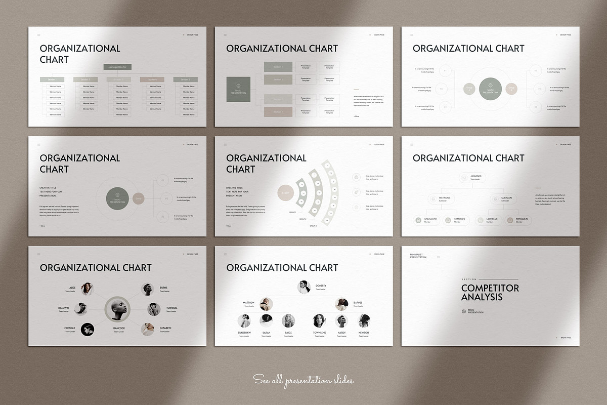 Business Plan PowerPoint Template, a Presentation Template by TemplatesForest (Photo 10 of 20)