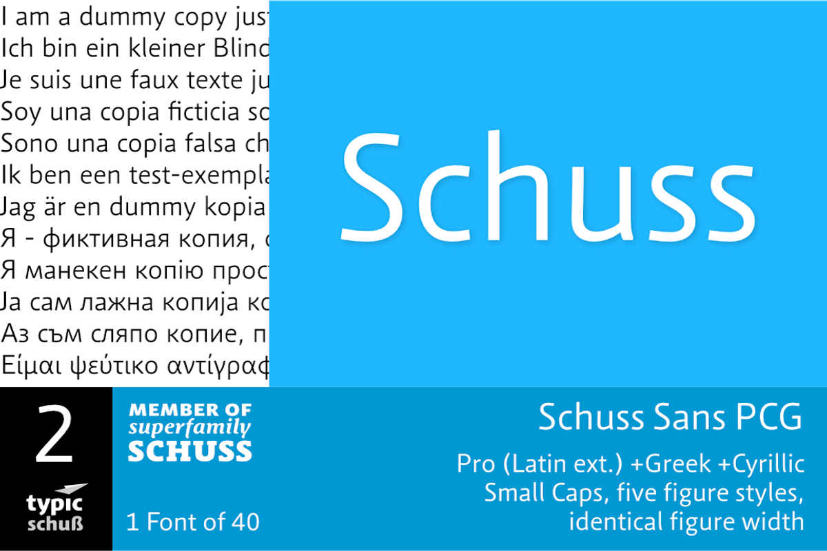 SchussSansPCG No.02 (1 Font)