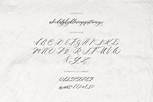 She Lost Her Mind Font Duo