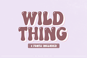 WILD THING Retro Font Family, a Font by Blush Font Co. (Thumbnail 1 of 8)