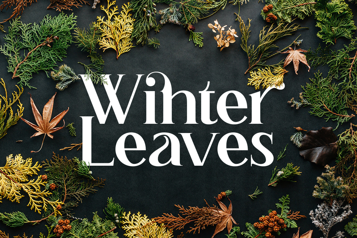 Misty Morning, a Serif Font by Funtype (Photo 6 of 15)