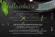 Hollandaise Script Font, a Script Font by Ally Heart (Thumbnail 2 of 8)