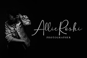 Hanston | Signature Font, a Script Font by Weape Studio (Thumbnail 2 of 12)