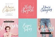 Bloomishly Brush Font, a Script Font by Nicky Laatz (Thumbnail 3 of 11)