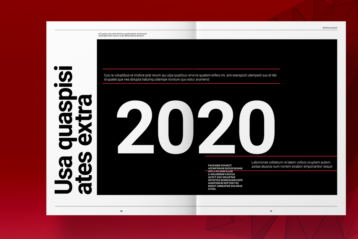 Red Brand Guidelines Layout, a Brochure Template by Boris Cupac
