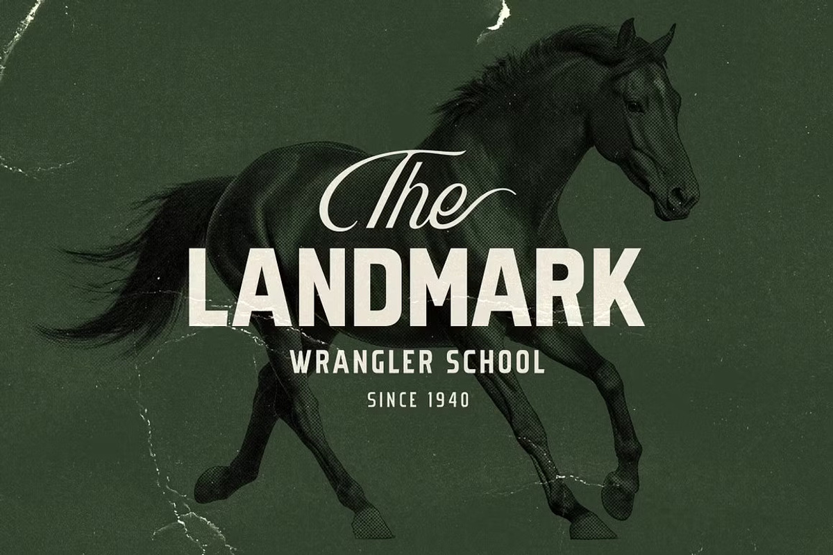 The Legendary Bundle, a Branding & Logo Template by Davide Bassu (Photo 10 of 49)