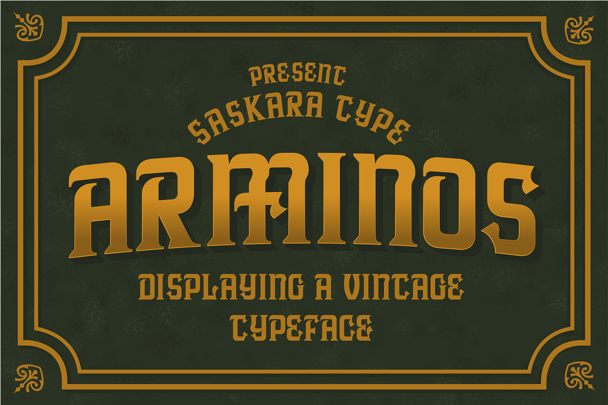 ARMINOS, a Serif Font by saskaratype (Photo 1 of 6)