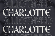 March Evoked - Creative Display Font, a Sans Serif Font by SilverStag Type Foundry (Thumbnail 19 of 26)
