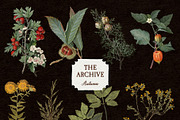 The Archive, Autumn | Vintage Kit, a Texture Graphic by GVGraphics (Thumbnail 16 of 16)