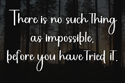 Winter Escape, a Handwritten Font by FreshTypeINK (Thumbnail 3 of 8)