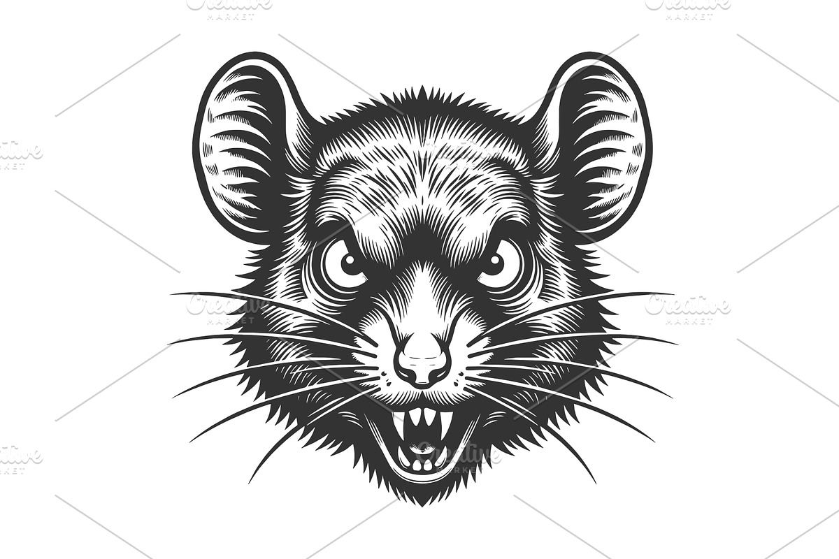 Angry Rat Face Aggressive Animal, an Animal Illustration by AlexArt