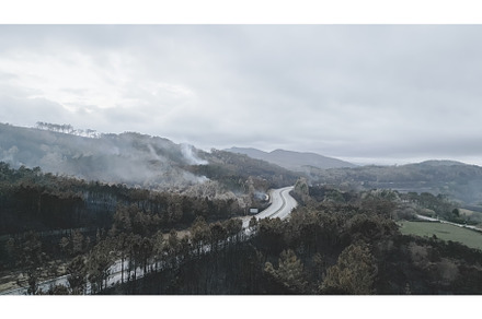 Aftermath of a burnt forest, with, a Nature Photo by Daniel Megias