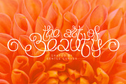 Flourel, a Script Font by Gleb Guralnyk (Thumbnail 5 of 11)