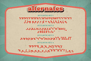 Matolha Typeface, a Serif Font by alit design (Thumbnail 7 of 17)
