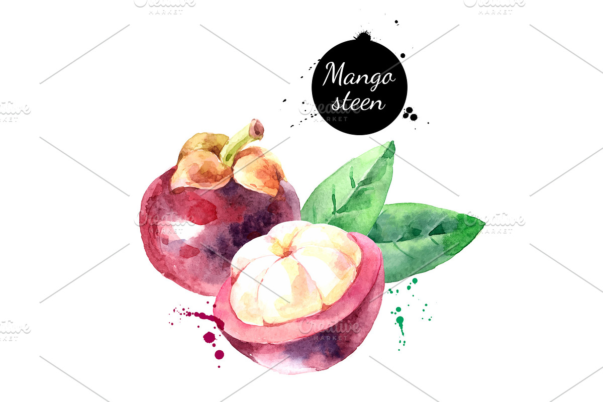 Watercolor Fruits Vector Set 2, a Decorative Illustration by Elena Pimonova (Photo 4 of 4)