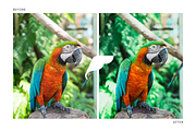 Tropical Lightroom Presets Instagram, an Action Add-On by Filtercrave (Thumbnail 4 of 9)