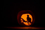 Feeling Pumpkin, a Templates & Theme by Feelings (Thumbnail 3 of 5)