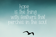 Seagull - A Handwritten Font, a Serif Font by KA Designs (Thumbnail 2 of 8)