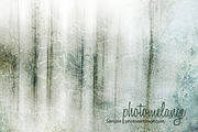Fine Art Textures - High Res, a Texture Graphic by photomelange (Thumbnail 4 of 5)