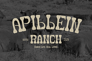 Olbars | Western Font, a Slab Serif Font by gracetype_studio (Thumbnail 6 of 15)