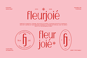 Nuvellan - Elegant Sans Serif Font, a Font by Indotype Foundry (Thumbnail 4 of 10)