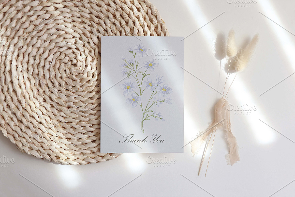 Watercolor Wildflowers Botanical Set, a Decorative Illustration by BarvArt (Photo 6 of 22)