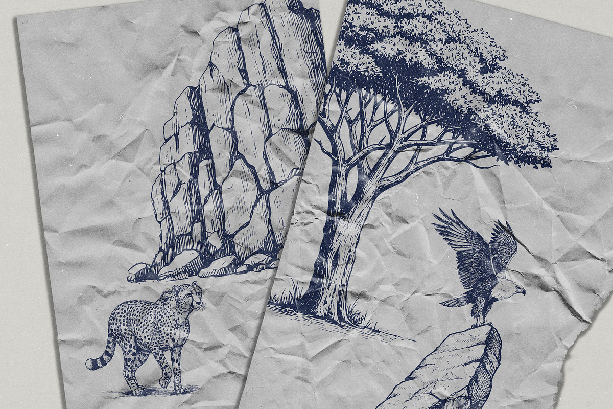 Wild Wonders: Safari Illustrations, an Animal Illustration by elliazidi.designs (Photo 9 of 9)