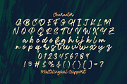 Ramez - Textured Brush Font, a Script Font by StringLabs (Thumbnail 12 of 13)