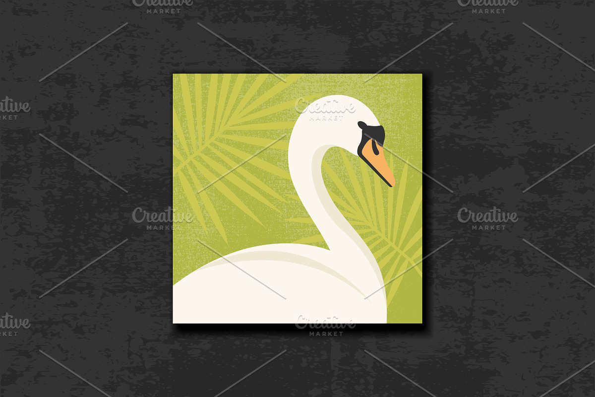 White and Black Swan Portraits, an Animal Illustration by PsychocheArt (Photo 2 of 4)