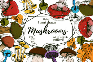 Hand drawn vintage mushrooms