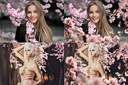 Blossom Tree Branch Overlays, an Object Graphic by DreamyOverlay (Thumbnail 2 of 6)