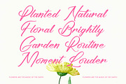 Ayeshy Clanita Bold Calligraphy, a Script Font by stylishtype.co (Thumbnail 5 of 20)