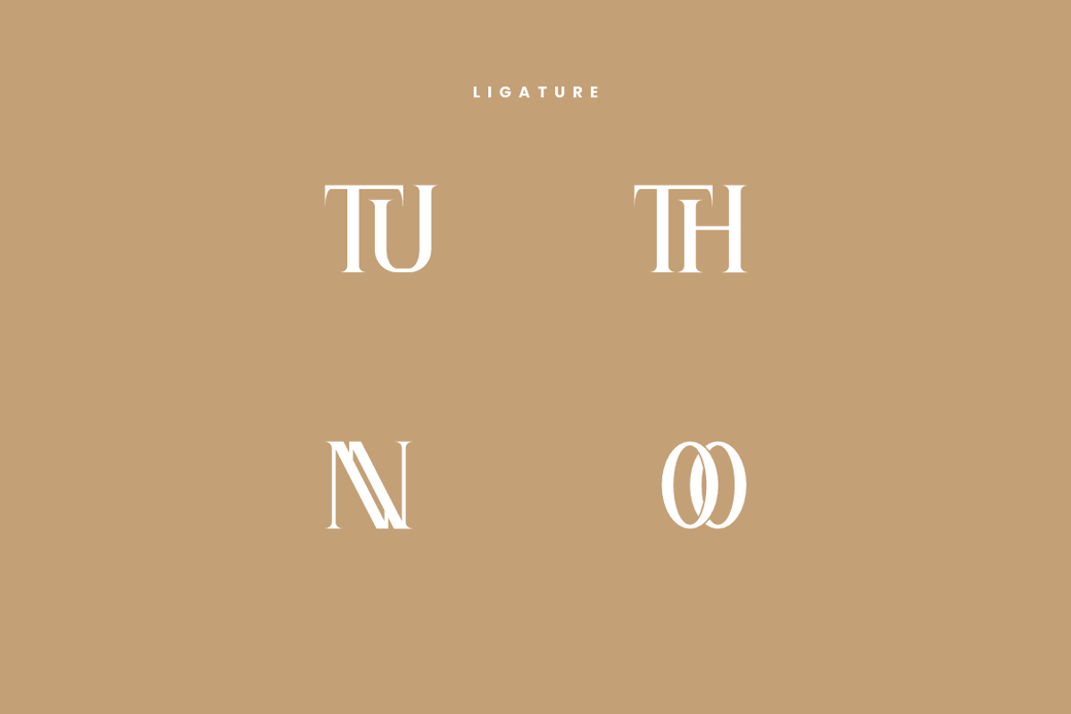Thennude - Minimal Serif Font, a Serif Font by Iqsiart Studio (Photo 6 of 7)
