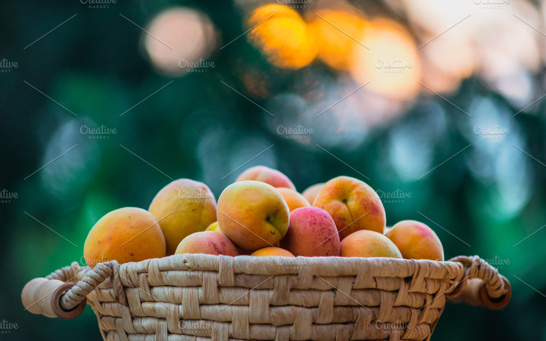 Ripe apricots on the basket featuring apricot, peach, and closeup, a Food & Drink Photo by Mark Borbely